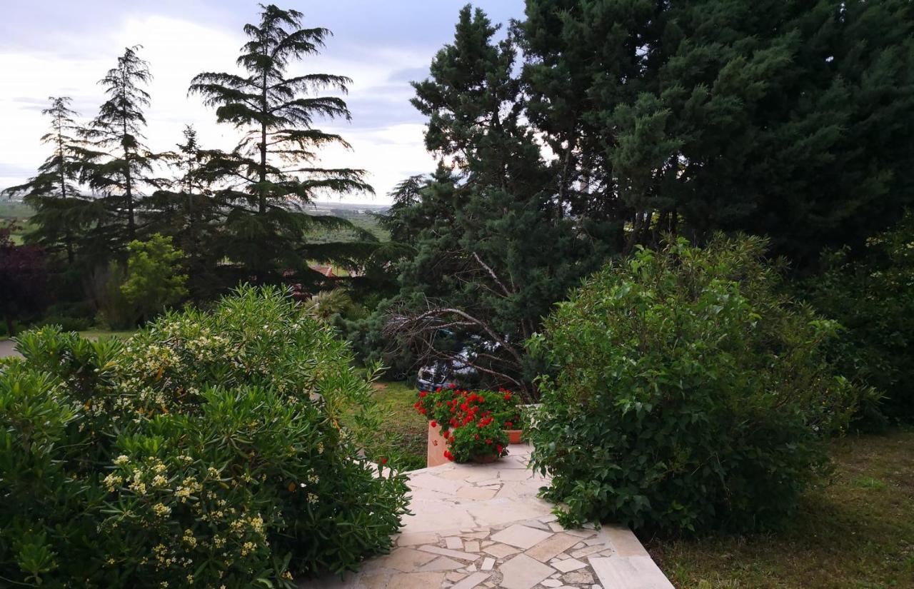 B&B Villa Lena Turi Exterior foto