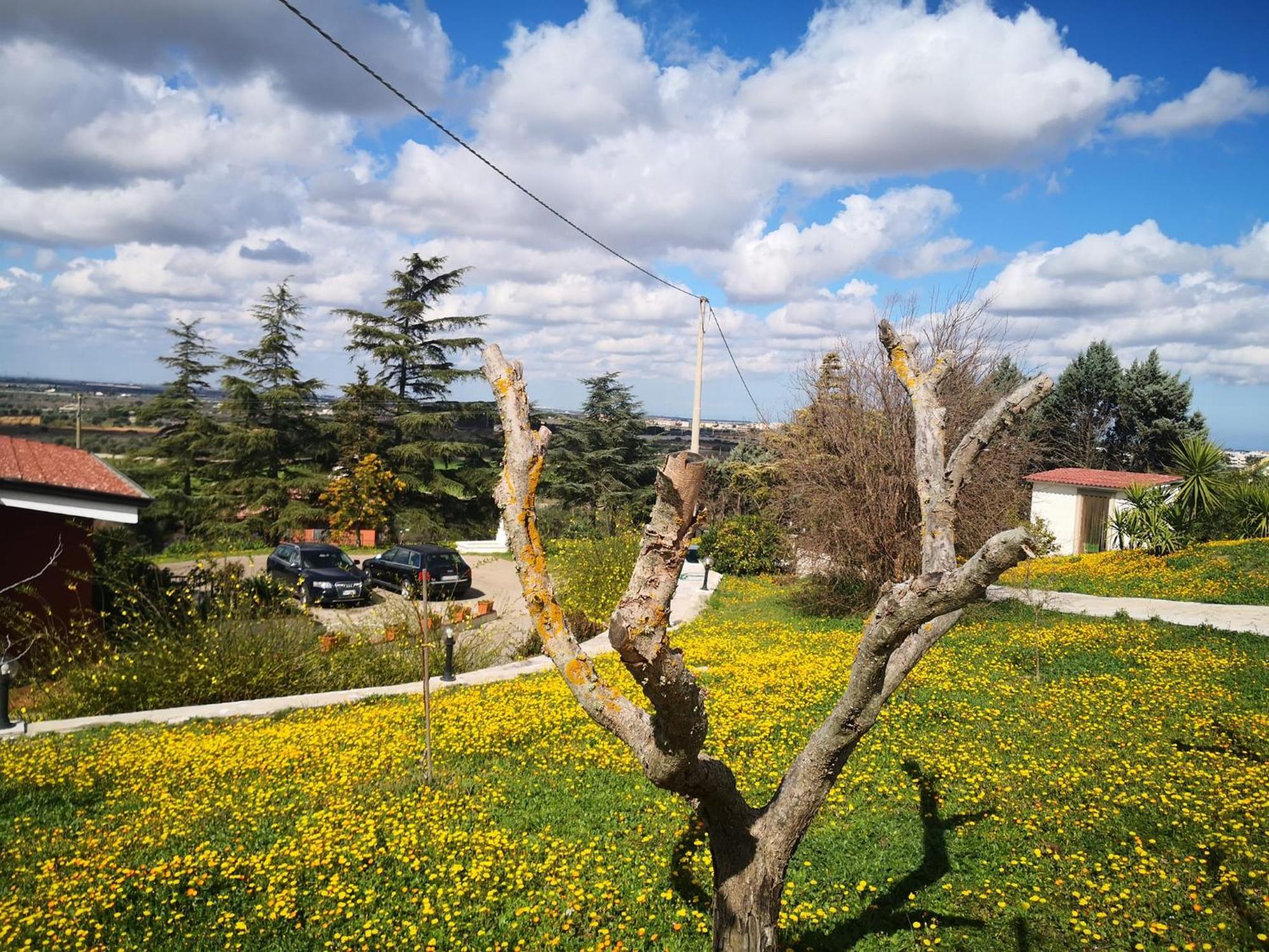 B&B Villa Lena Turi Exterior foto