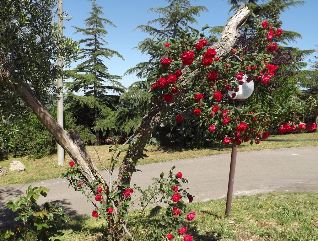 B&B Villa Lena Turi Exterior foto